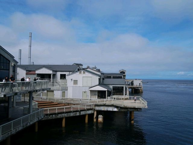 Monterey Bay Aquarium สหรัฐอเมริกา