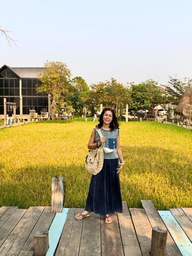 🌿 นาข้าว คาเฟ่