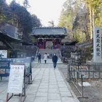 Pathway to Serenity: Strolling Through Nikko’s Ancient Cedars
