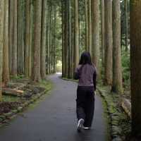 ทะเลสาบทานูกิ (ไปมา 28 ตค 67)