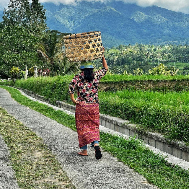 Jatiluwih Rice Terraces: A UNESCO World Heritage Gem