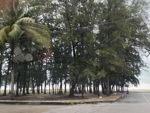 นราทัศน์เพลินตา จังหวัดนราธิวาส 🦑