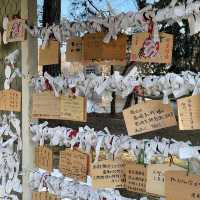 Tranquility at Kamikawa Shrine