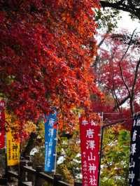 【栃木×佐野】 るろうに剣心のロケ地としても有名  紅葉 猫にも出逢える神社