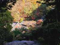 Fall season at the biggest temple in Korea, Guinsa Temple