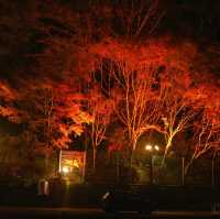 【千葉県】関東市遅い紅葉スポット！養老渓谷