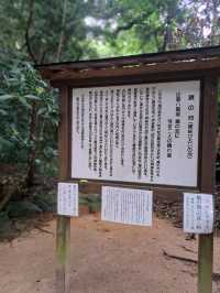 【島根】松江のパワースポットを巡る旅