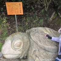 🇯🇵【愛媛県】亀老山展望公園！