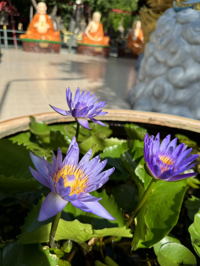 Wat Muang: Home to Thailand’s Largest Buddha and More