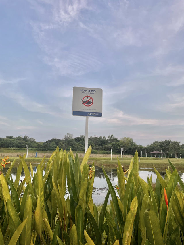 เช่าจักรยานปั่นดูวิวธรรมชาติ @Punggol Park 🌳