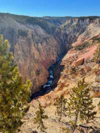 Yellowstone: Where nature Are Your New Best Friends 