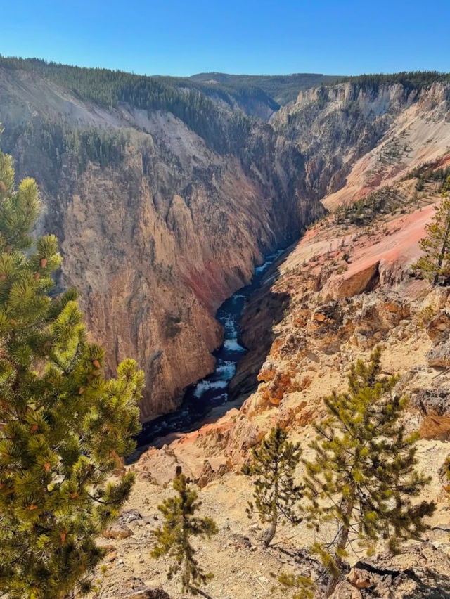 Yellowstone: Where nature Are Your New Best Friends 