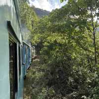 Must Try Tenom-Pangi-Tenom Train Ride