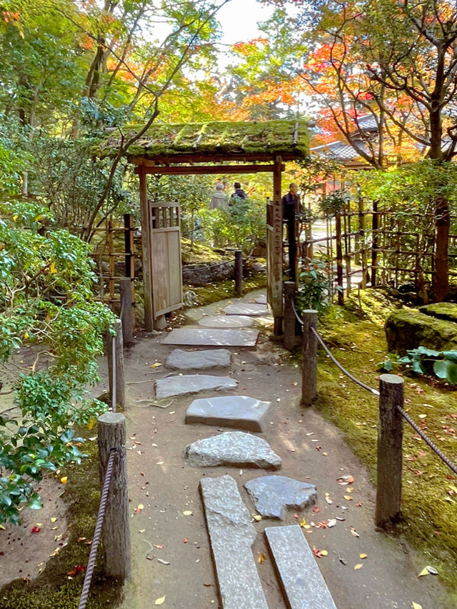 京都観光☺️美しい枯山水・池泉回遊式庭園🍁🌿天授庵