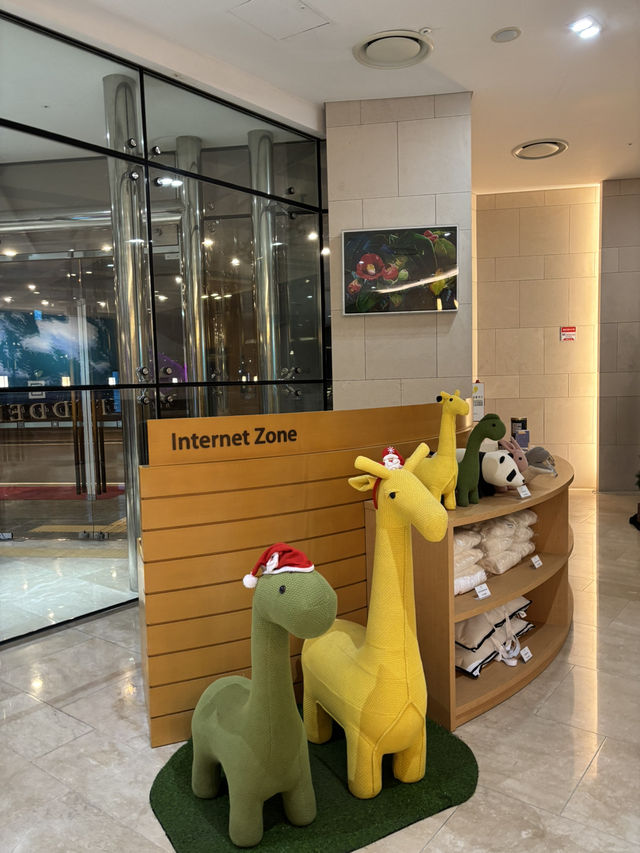 겨울에 가기 좋은 여수 히든베이호텔😀