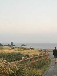 Scenic Coastal Trail in Seopjikoji, Jeju Island