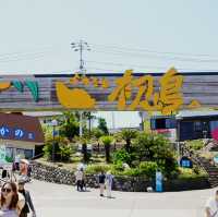 【静岡県】熱海港から約30分で行ける初島が最高すぎた