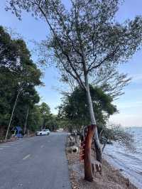 ลานหินสีชมพู จันทบุรี