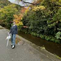 🍁Autumn in Yufuin🇯🇵