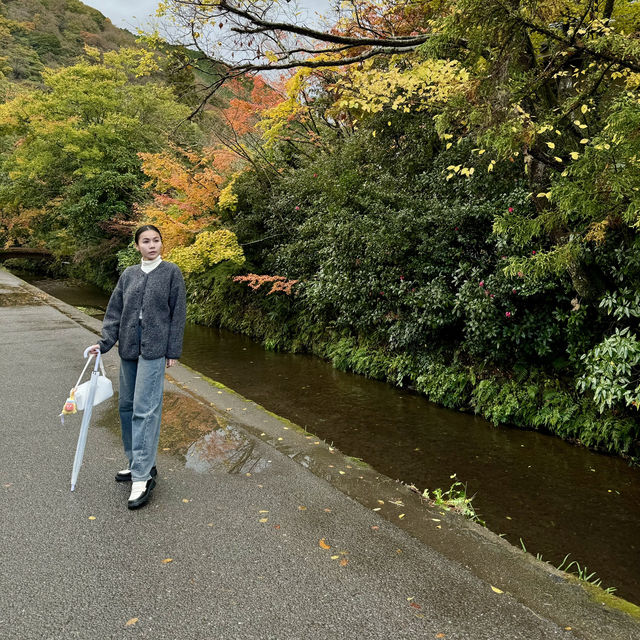 🍁Autumn in Yufuin🇯🇵