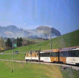 Golden pass line