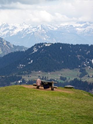 🇨🇭搭齒軌列車到山頂🏞️🏔️