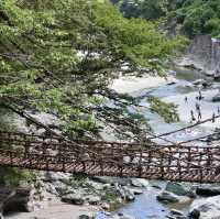 日本三大秘境～步步驚魂之《祖谷のかずら橋》