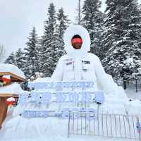The China Snow Town