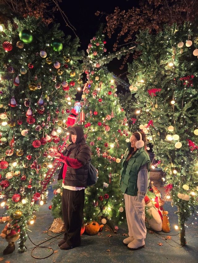 대형 거꾸로 트리가 반짝이는 여주카페🎄