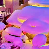 China Snow Town หมู่บ้านหิมะ 中国雪乡