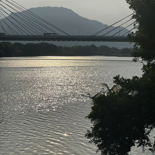 梅江公園-綠意綠洲