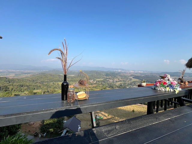 StardoiCoffee&Farmstay