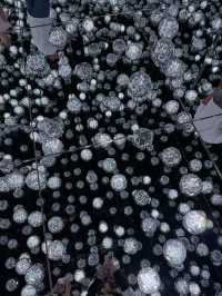 Teamlab Borderless พิพิธภัณฑ์โตเกียว
