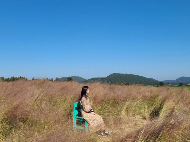 보롬왓