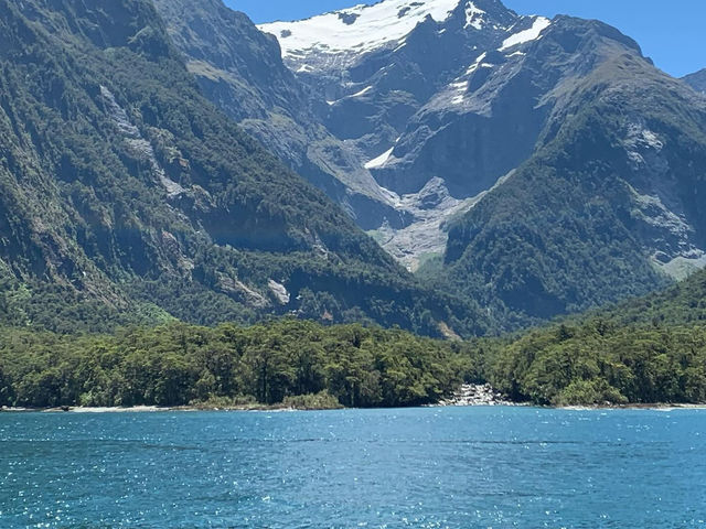 Exploring the Wonders of Milford Sound