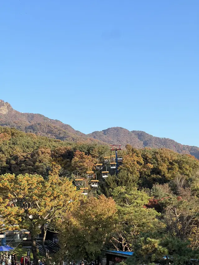 เที่ยวสวนกรุงโซล