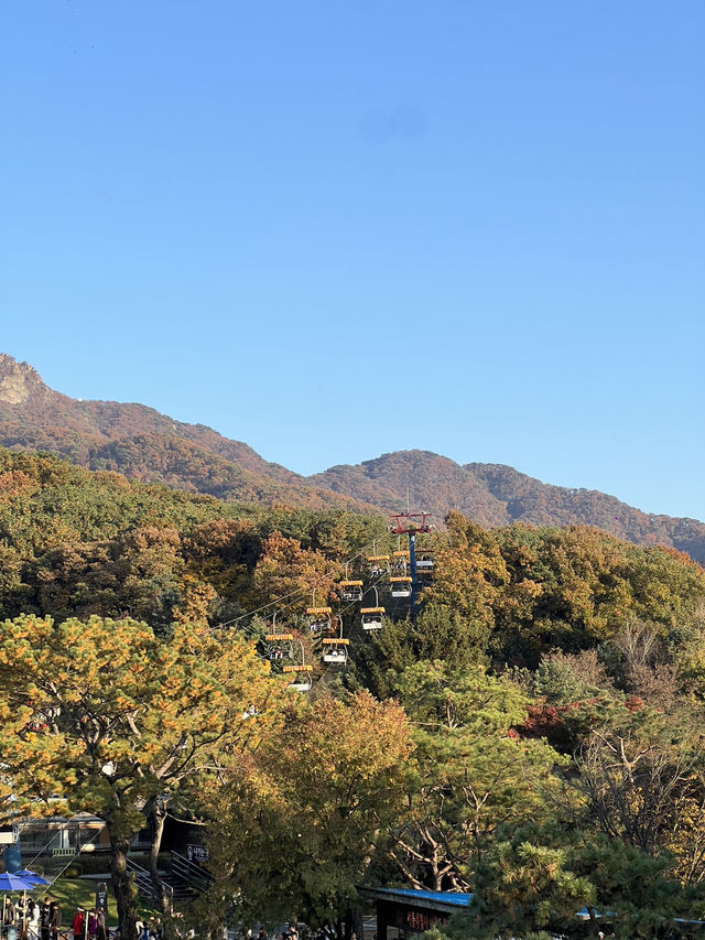 เที่ยวสวนกรุงโซล