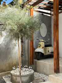 ร้านอาหารเชียงดาว ร้านข้าวเส้นถ้ำเชียงดาว