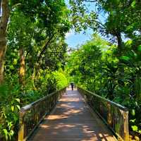 BEAUTIFUL PUTRAJAYA BOTANICAL GARDEN.