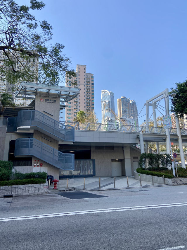 🐈📸香港拍照打卡聖地😻佈滿貓貓的「西樓角花園🌸🌹」