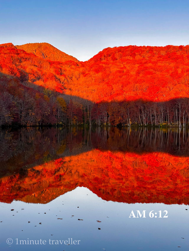 蔦沼の紅葉、撮影のベストタイミングは日の出から約30分間