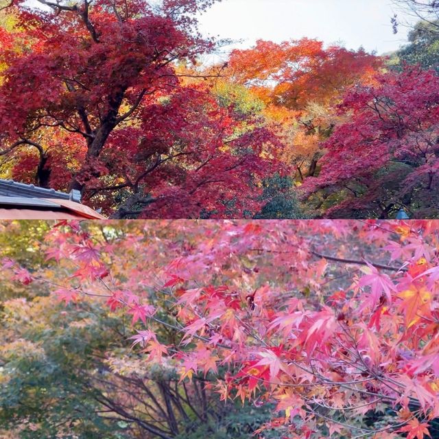 大阪景點