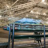 Playzone & Pool Oasis: The Ultimate Indoor Playground!