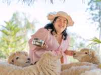 Stardoi Farm Khaoyai 
