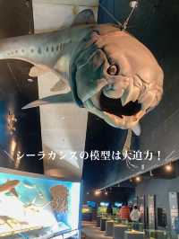 【 福島 いわき 】海中を散歩するかのような水族館🐠💕
