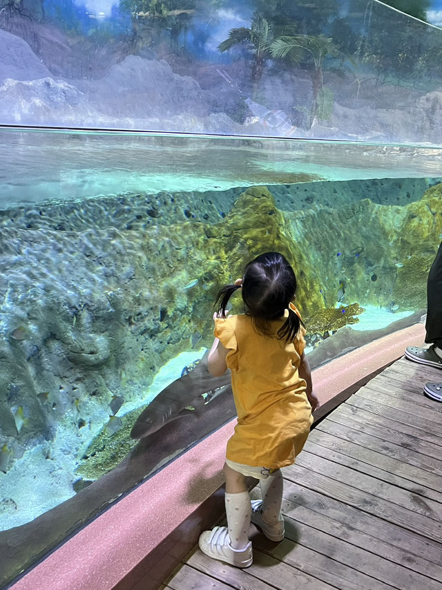🇰🇷 Coex Aquarium, Seoul 🪼🐠🫧