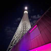 A Magical Holiday Experience: Christmas Illuminations in Tokyo