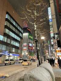 Sapporo: A City of Snow, Culture, and Amazing Food