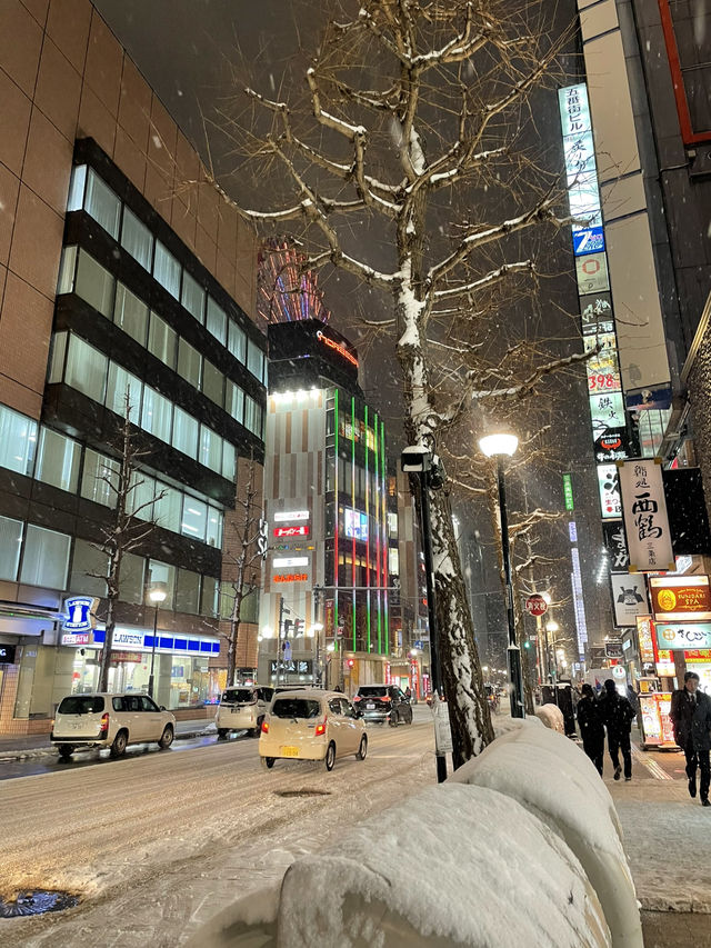 Sapporo: A City of Snow, Culture, and Amazing Food