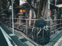 【名古屋】安産・子授けのご利益!名古屋浅間神社⛩️
